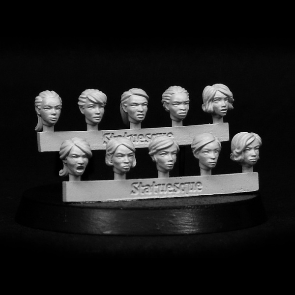 SMA101 Fine Scale Female Heads